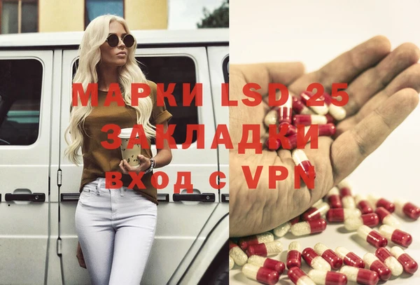 дживик Новозыбков