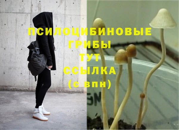 дмт Баксан